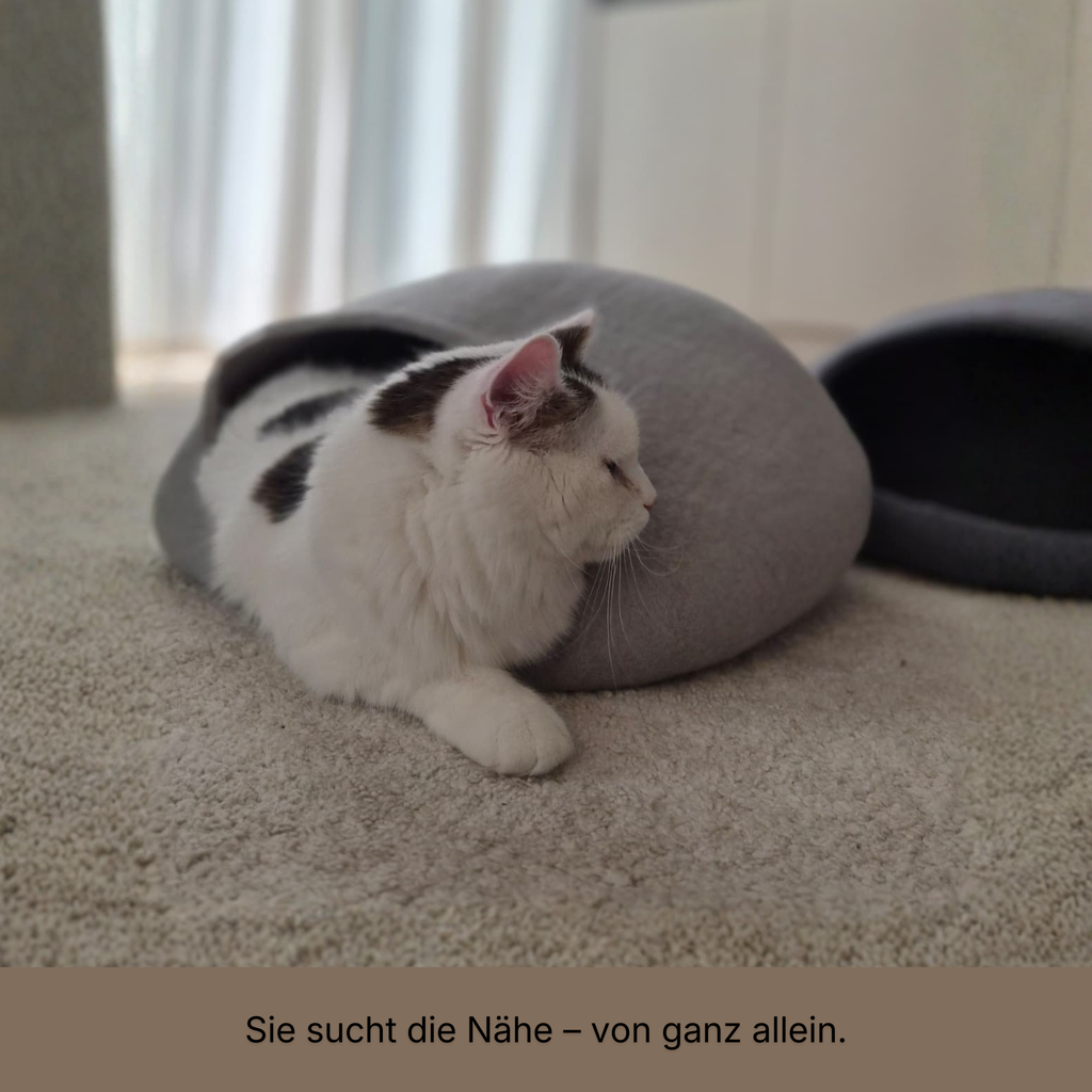 FELORI HIDE