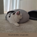 FELORI HIDE