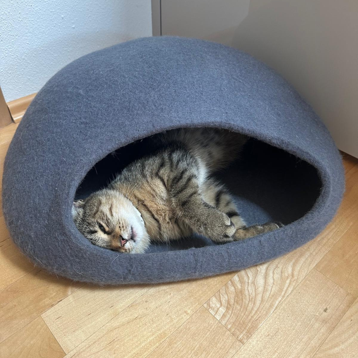 FELORI HIDE